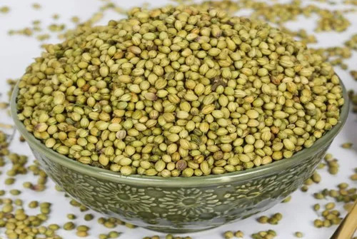 Coriander
