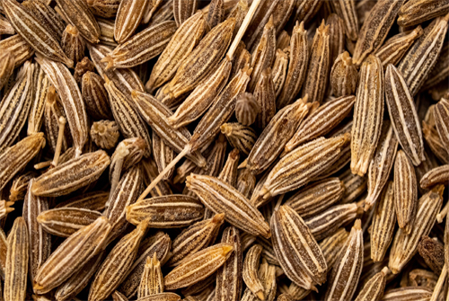 Cumin Seed 