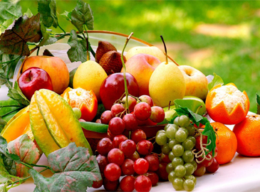 Fruits
