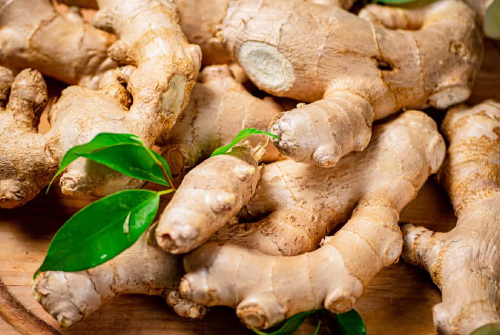 Ginger 