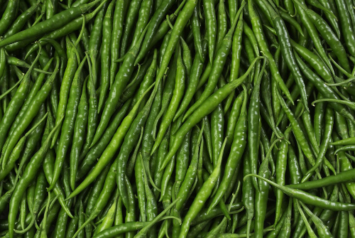 greenchilli